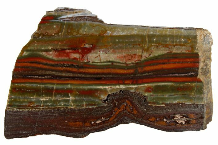 Stromatolite Slice - Pilbara, Australia ( Billion Years) #180164